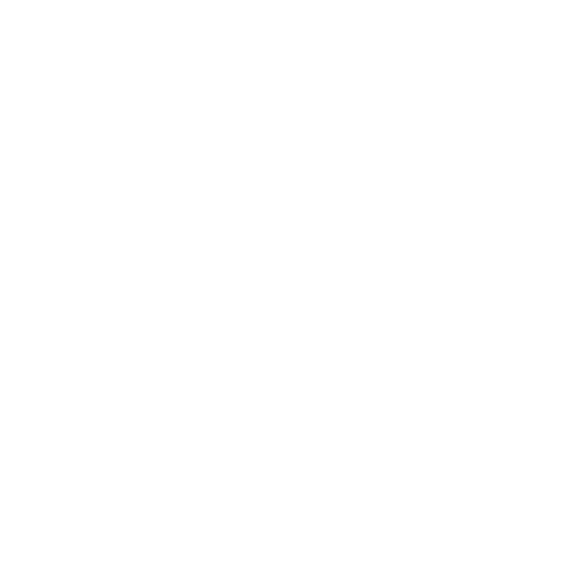 Automotive Electronic